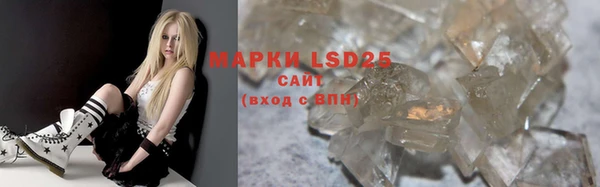 соль ск Белокуриха