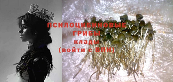 MDMA Богданович