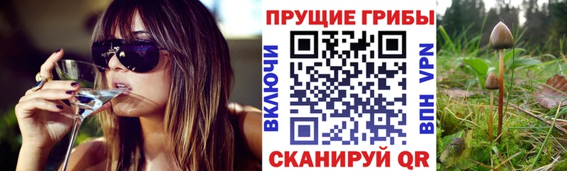 Галлюциногенные грибы Psilocybine cubensis  Верхотурье 